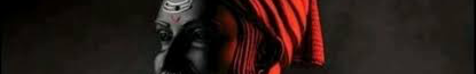 profile-banner